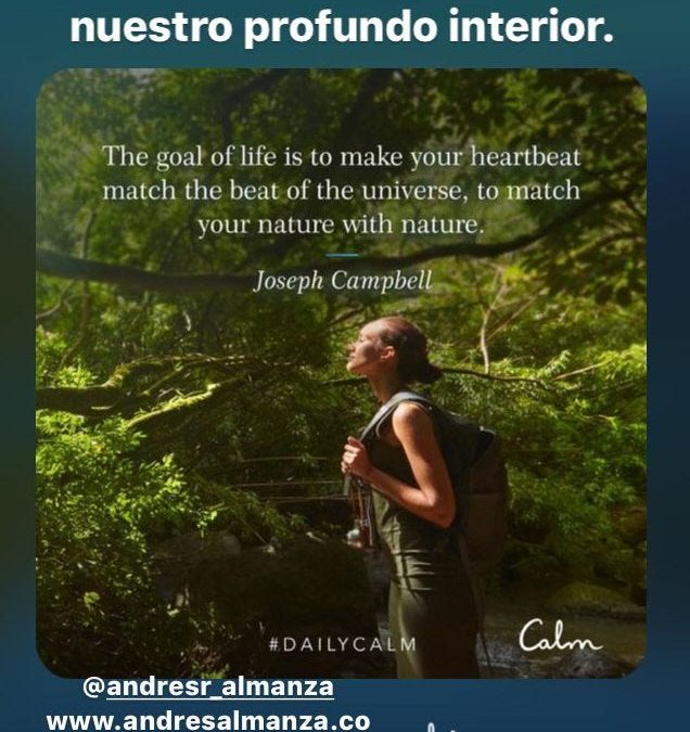 El Poder De La Sincronia En La Vida Diaria