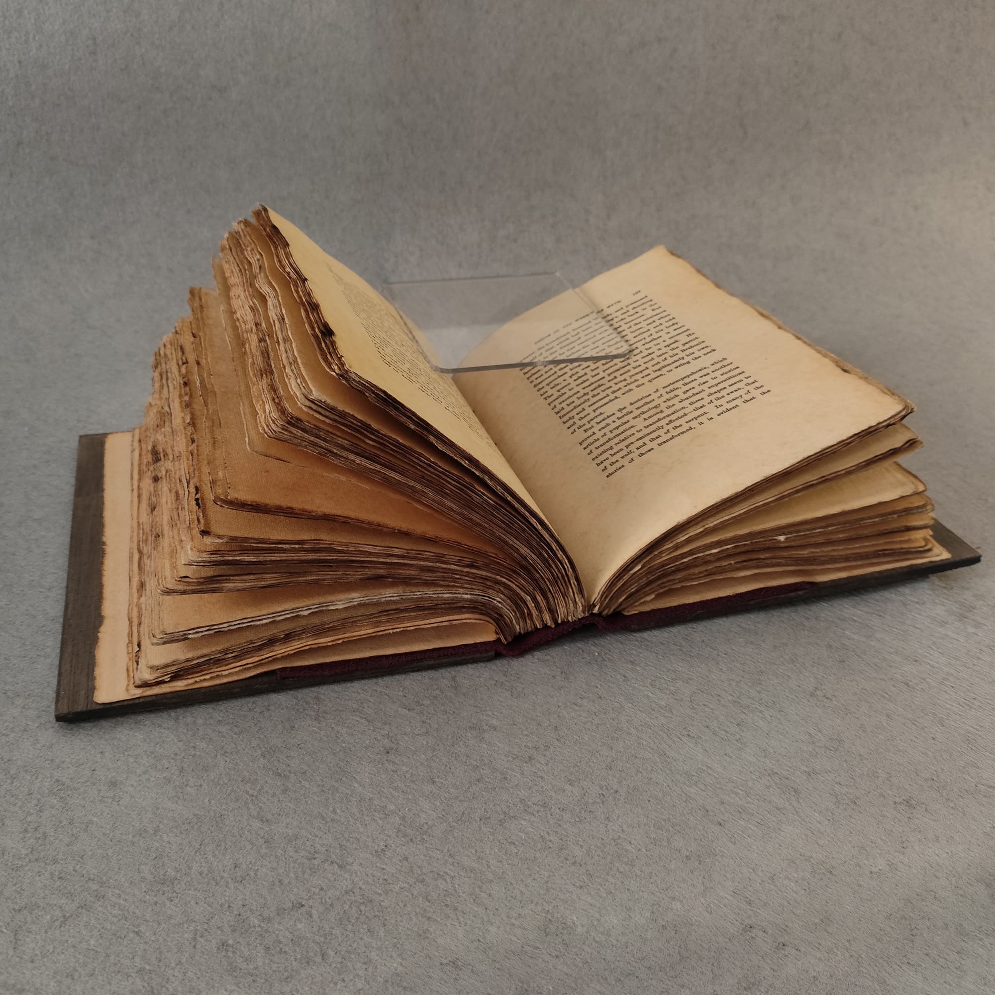 The Book Of Were Wolves 3